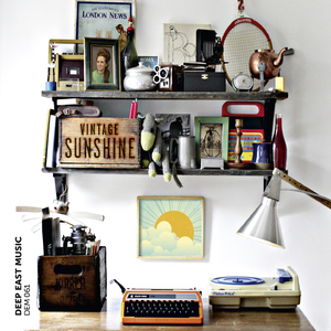 商用自动化小蛙导航
