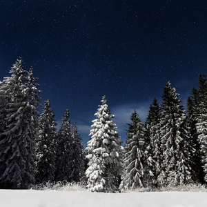 商用自动化小蛙导航
